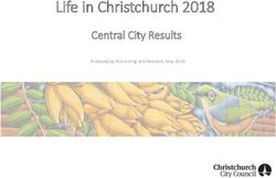 Life in Christchurch 2018 - Central City Results Produced by Monitoring and Research, May 2018 - Christchurch City Council