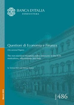 R 486 - The non-standard monetary policy measures of the ECB: motivations, effectiveness and risks - Banca d'Italia