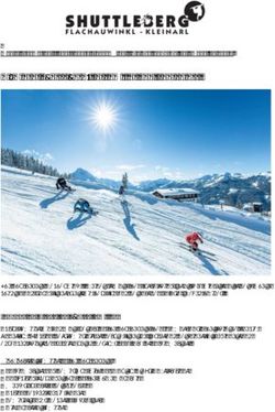 A "winter sports park" for families and freestylers