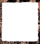 Local wins an eight-year battle for Superstore - THEMEMBERSHIPMAGAZINEFORUFCWLOCAL832 MAY2012