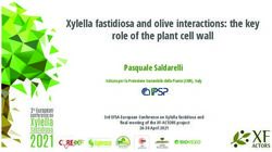 Xylella fastidiosa and olive interactions: the key role of the plant cell wall - EFSA