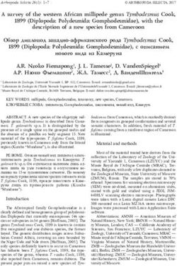 A survey of the western African millipede genus Tymbodesmus Cook, 1899 (Diplopoda: Polydesmida: Gomphodesmidae), with the description of a new ...