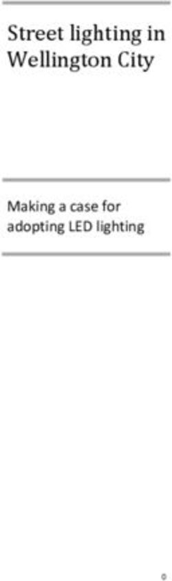 Street lighting in Wellington City - Making a case for adopting LED lighting