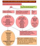 Briefing Document: Reducing Preventable Harm to Patients with Known Drug Allergies