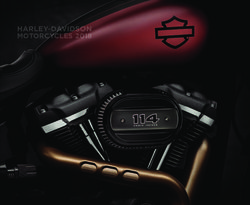 HARLEY-DAVIDSON MOTORCYCLES 2018