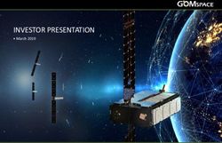INVESTOR PRESENTATION - March 2019 - GOMspace