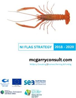 Mcgarryconsult.com NI FLAG STRATEGY - FInal Draft (Dec17)