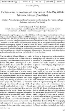 Further notes on dentition and prey capture of the Pike killifish