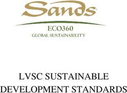 LVSC SUSTAINABLE DEVELOPMENT STANDARDS - Las ...