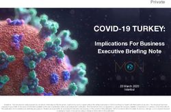 COVID-19 TURKEY: Implications For Business Executive Briefing Note - MON Investment Company