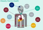 A Healthier Future - Scotland's Diet & Healthy Weight Delivery Plan