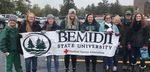 Bemidji State University - Department of Nursing ACADEMIC YEAR 2019 2020