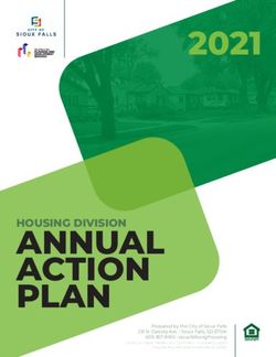 ANNUAL ACTION PLAN 2021 - City of Sioux Falls