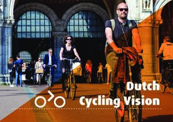 Dutch Cycling Vision - Dutch Cycling Embassy