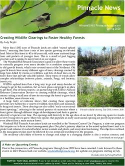 Pinnacle News - Windmill Hill Pinnacle Association