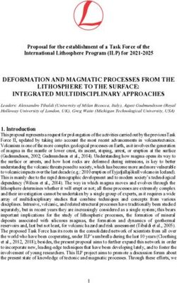 DEFORMATION AND MAGMATIC PROCESSES FROM THE LITHOSPHERE TO THE SURFACE: INTEGRATED MULTIDISCIPLINARY APPROACHES - International Lithosphere Program
