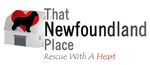Newfie News - That Newfoundland Place