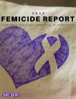 DOMESTIC VIOLENCE HOMICIDE IN MINNESOTA