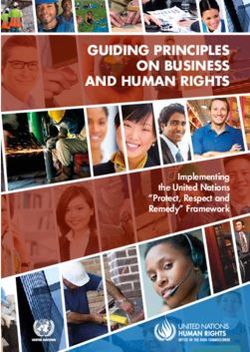 GUIDING PRINCIPLES ON BUSINESS AND HUMAN RIGHTS - IMPLEMENTING THE UNITED NATIONS "PROTECT, RESPECT AND REMEDY" FRAMEWORK