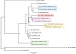 Multi tissue transcriptome analysis of two Begonia species reveals dynamic patterns of evolution in the chalcone synthase gene family