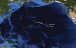 Fauna of Cobalt-Rich Ferromanganese Crust Seamounts - Technical Study: No. 8