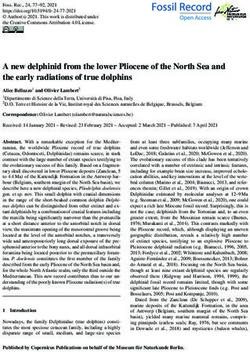 A new delphinid from the lower Pliocene of the North Sea and the early radiations of true dolphins