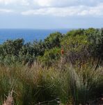 Draft Environmental Action Plan 2018-2030 - second - Waverley Council