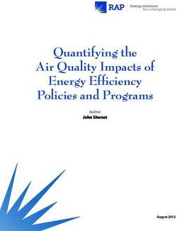 Quantifying the Air Quality Impacts of Energy Efficiency Policies and Programs - John Shenot