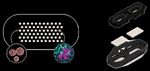 BEST-IN-CLASS SARS-COV-2 ANTIBODY TESTING BY QUOTIENT