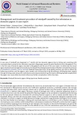 Management and treatment procedure of windpuff caused by lice infestation in domestic pigeon: A case report