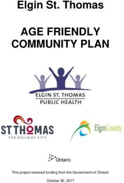 AGE FRIENDLY COMMUNITY PLAN - Elgin St. Thomas - WHO/OMS: Extranet Systems