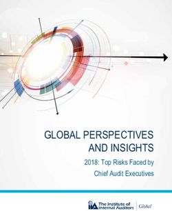 GLOBAL PERSPECTIVES AND INSIGHTS - 2018: Top Risks Faced by Chief Audit Executives - IIA Global