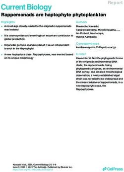 Rappemonads are haptophyte phytoplankton - Roscoff ...