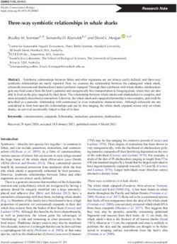 Three-way symbiotic relationships in whale sharks - CSIRO ...