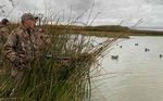 Idaho Migratory Game Bird - 2020-2021 Seasons & Rules - idfg.idaho.gov