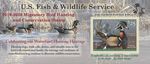 Idaho Migratory Game Bird - 2020-2021 Seasons & Rules - idfg.idaho.gov