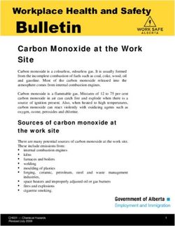Carbon Monoxide at the Work Site