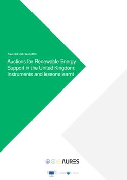 Auctions for Renewable Energy Support in the United Kingdom: Instruments and lessons learnt