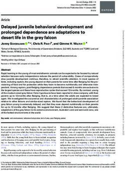 Delayed juvenile behavioral development and prolonged dependence are adaptations to desert life in the grey falcon - Delayed juvenile behavioral ...