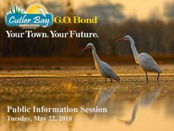 Public Information Session - Tuesday, May 22, 2018 - Cutler Bay