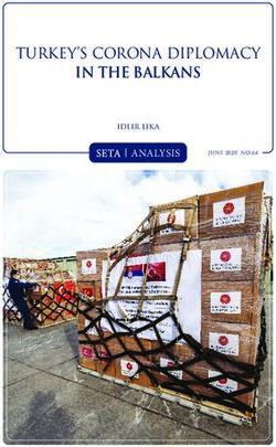 IN THE BALKANS TURKEY'S CORONA DIPLOMACY - ANALYSIS - SETA