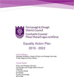 Equality Action Plan 2019 2022 - Fermanagh & Omagh ...