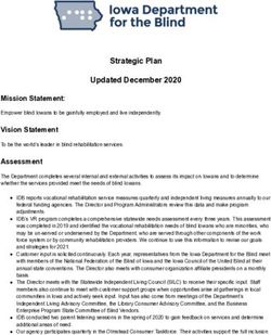 Strategic Plan Updated December 2020