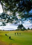 Driving Forward Together - Scottish Golf Tourism Development Strategy 2013 2020