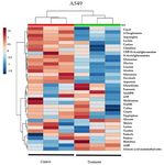 Delta-Tocotrienol Modulates Glutamine Dependence by Inhibiting ASCT2 and LAT1 Transporters in Non-Small Cell Lung Cancer (NSCLC) Cells: A ...