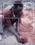MAINSTREAMING HIV/AIDS IN PRACTICE - A toolkit with a collection of resources, checklists and examples on CD Rom for SDC and its partners