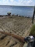 Cost and Effectiveness Analysis of Select New Jersey Living Shoreline Projects - SIT-DL-20-9-CV5 June 30, 2020