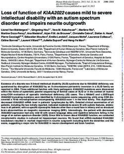 Loss of function of KIAA2022 causes mild to severe intellectual disability with an autism spectrum disorder and impairs neurite outgrowth