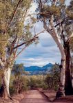 PHOTOGRAPHY Prize Schedule | Competition Information - Royal Adelaide Show