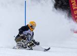 45th Annual Wells Fargo Ski Cup February 21-23, 2020 - Therapeutic sports and recreation - all ages, all disabilities